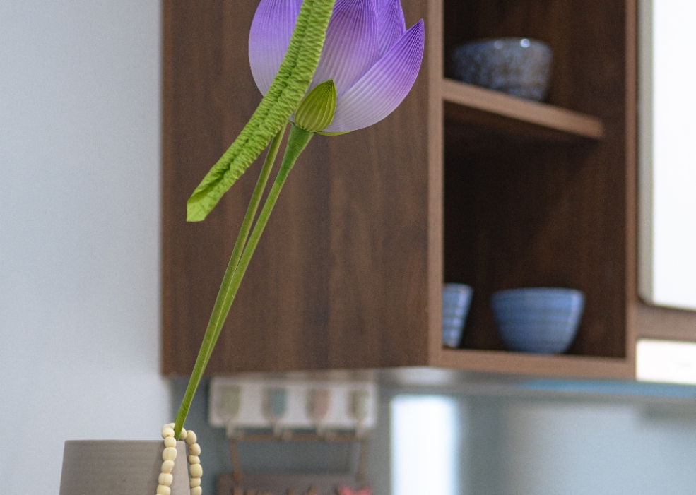 MTR Apartment & Hotel